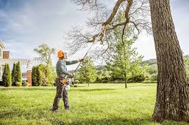 Leaf Removal in Assumption, IL